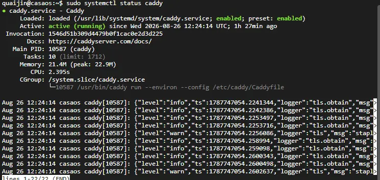 Caddy systemctl status verification