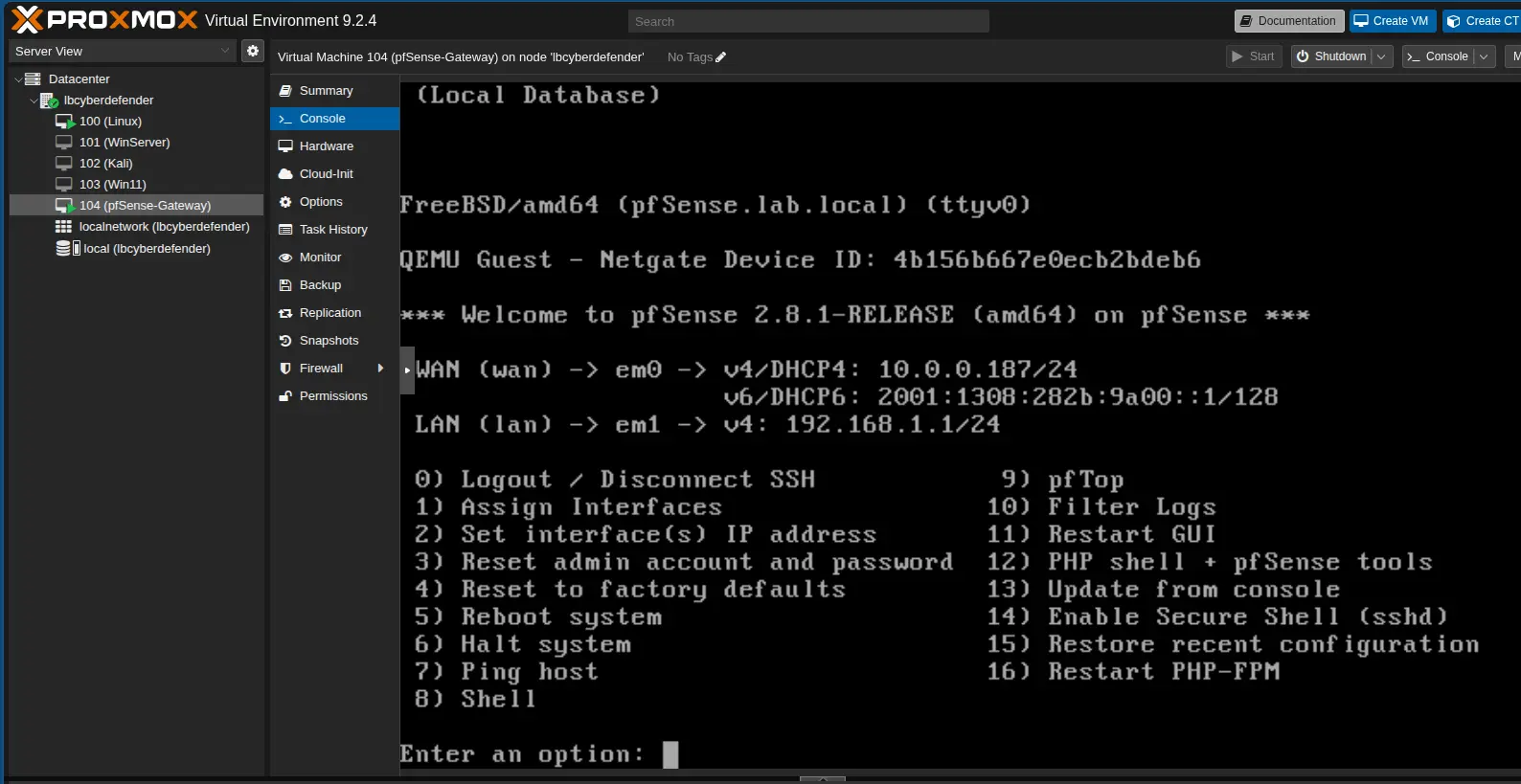 pfSense Virtual Machine Hardware Overview