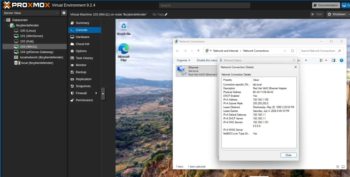 Windows 11 DNS Configuration